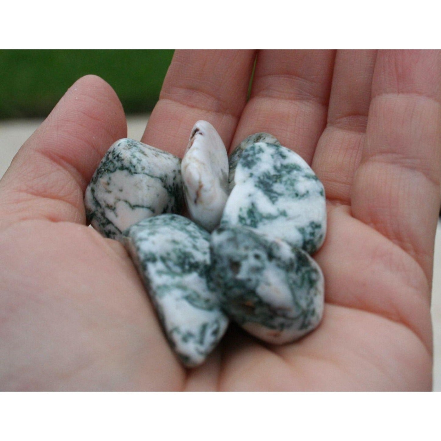 Tree Agate Tumbled Stones 4 OZ