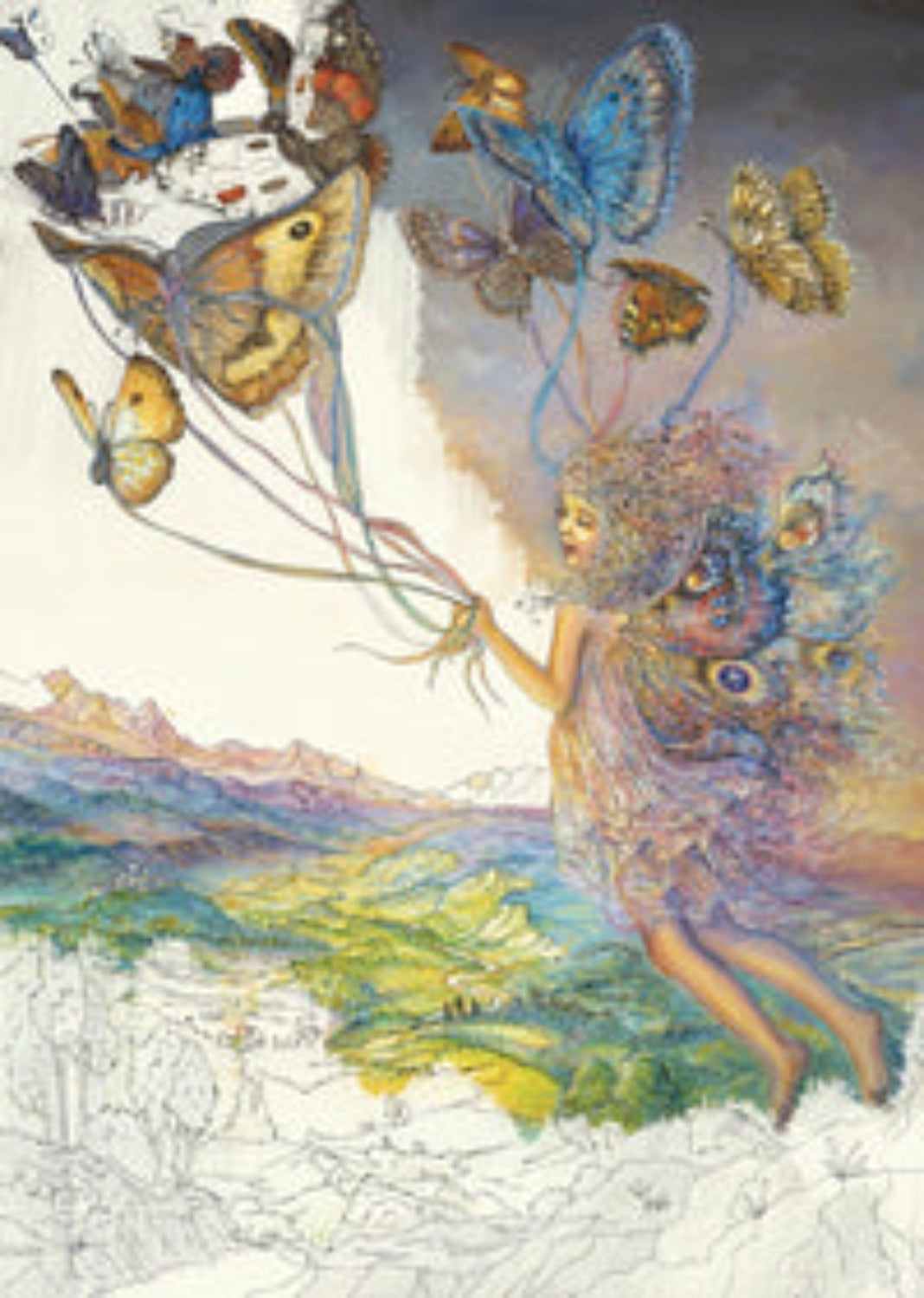 Enchanted Fairies Coloring Book