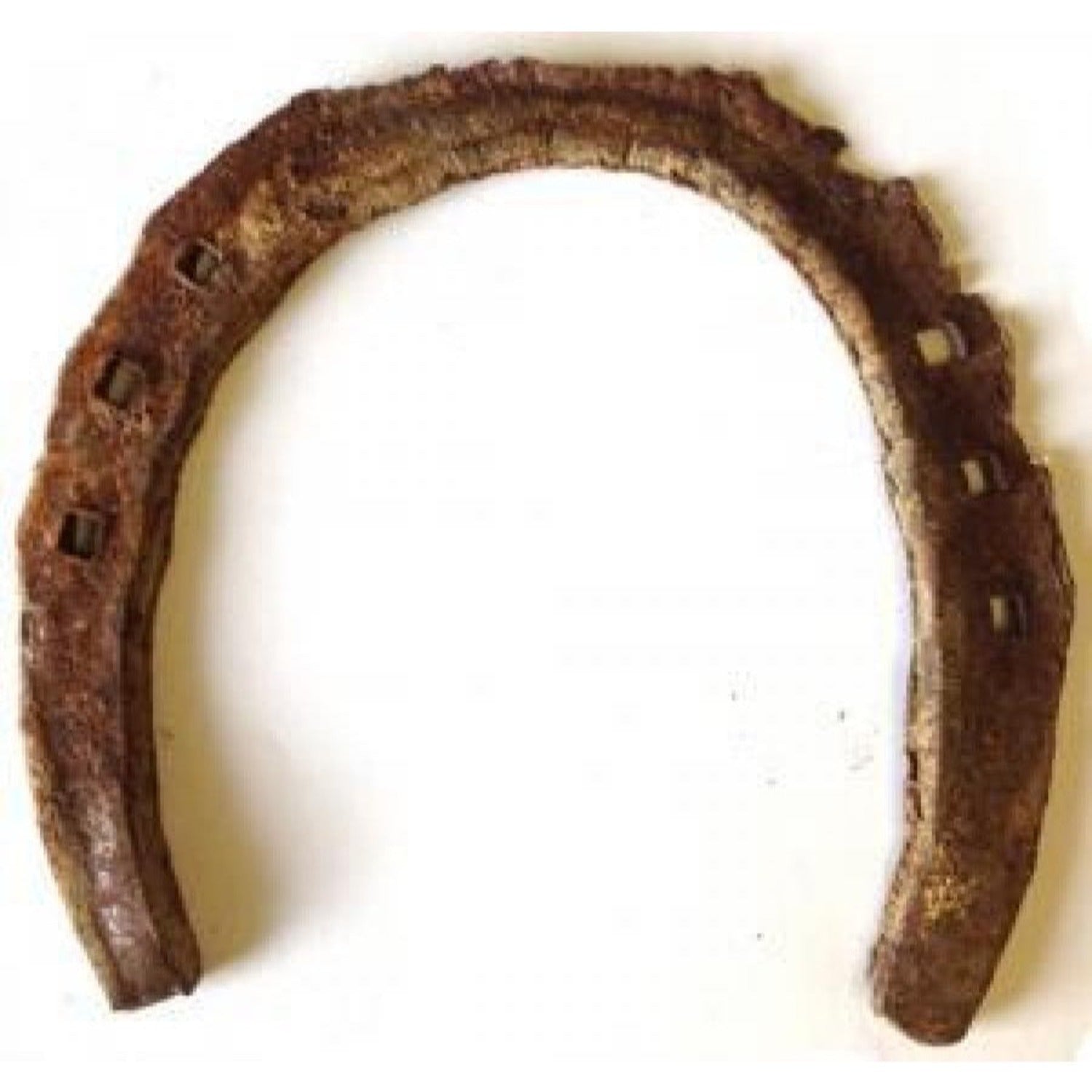 Genuine Used Horseshoe