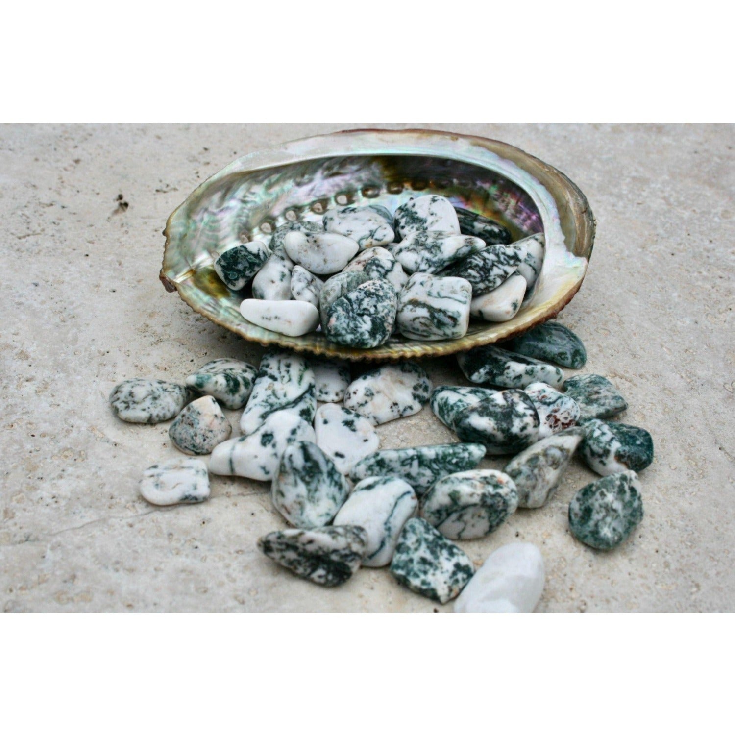 Tree Agate Tumbled Stones 4 OZ