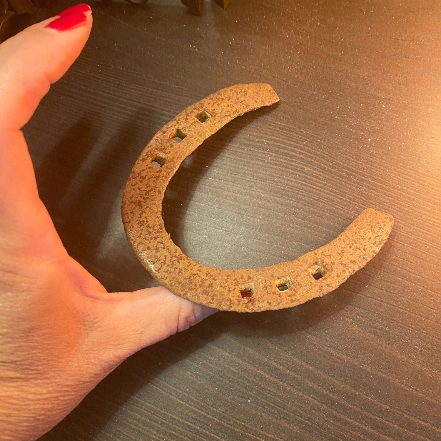 Genuine Used Horseshoe