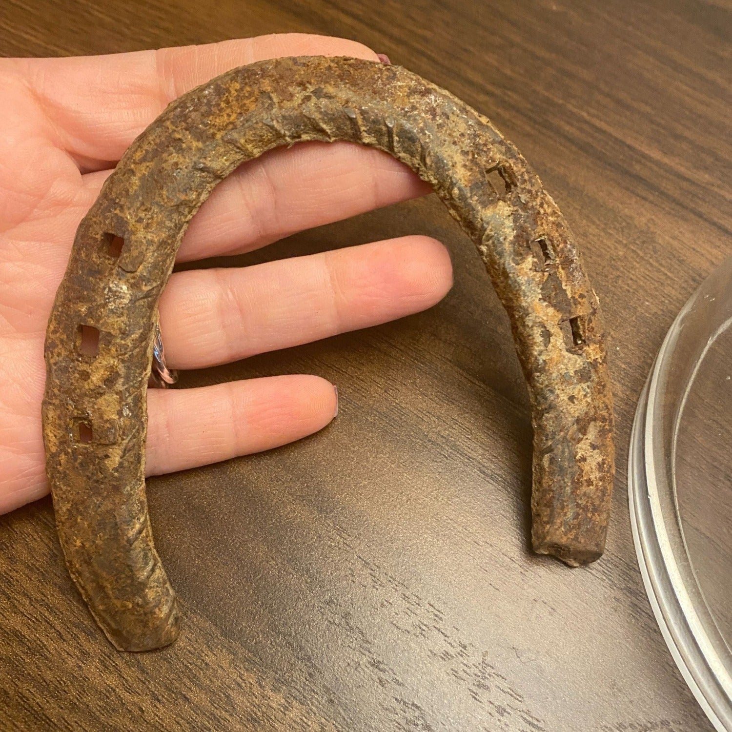 Genuine Used Horseshoe
