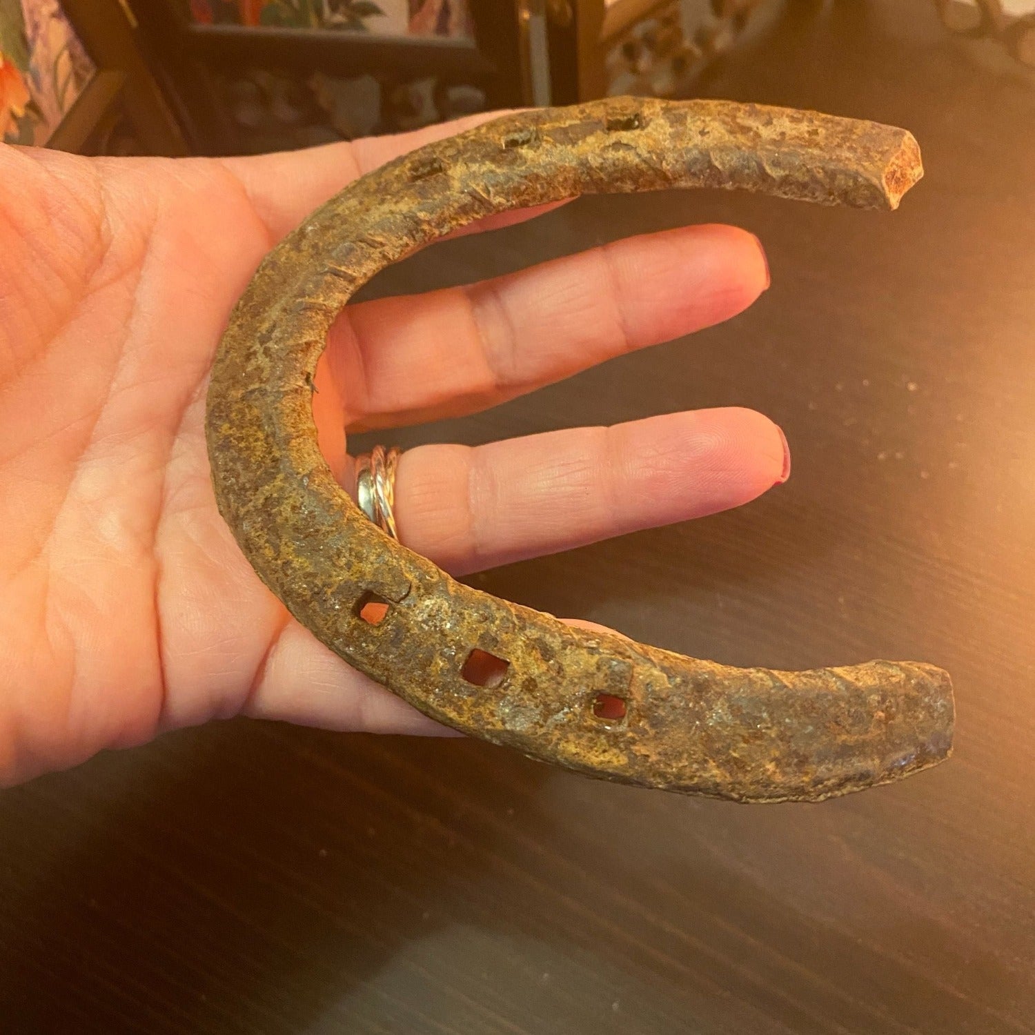 Genuine Used Horseshoe