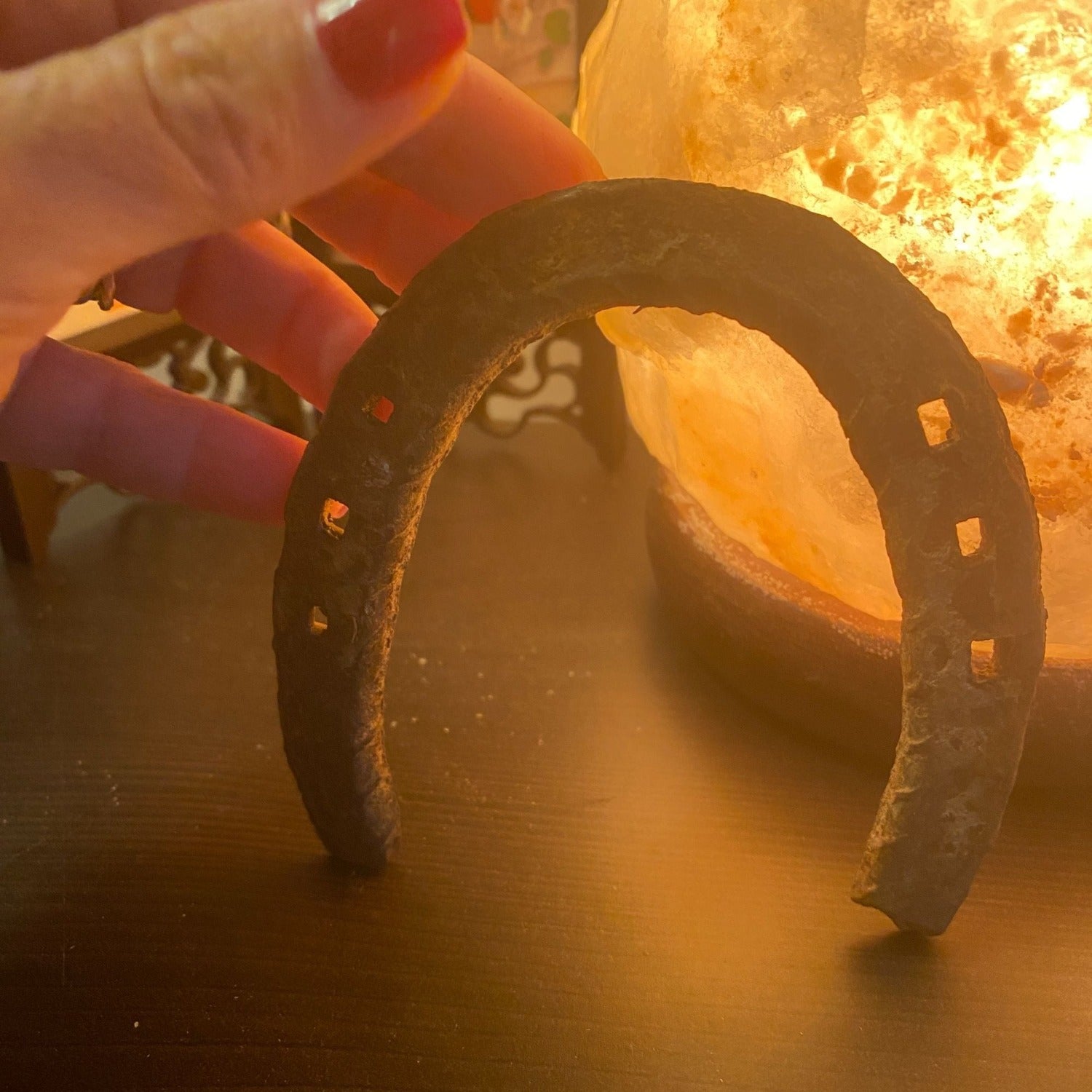 Genuine Used Horseshoe