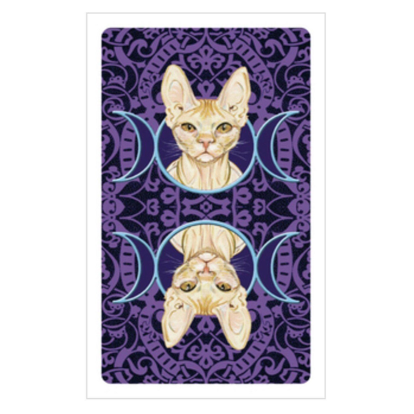 Tarot of Pagan Cats Mini Deck