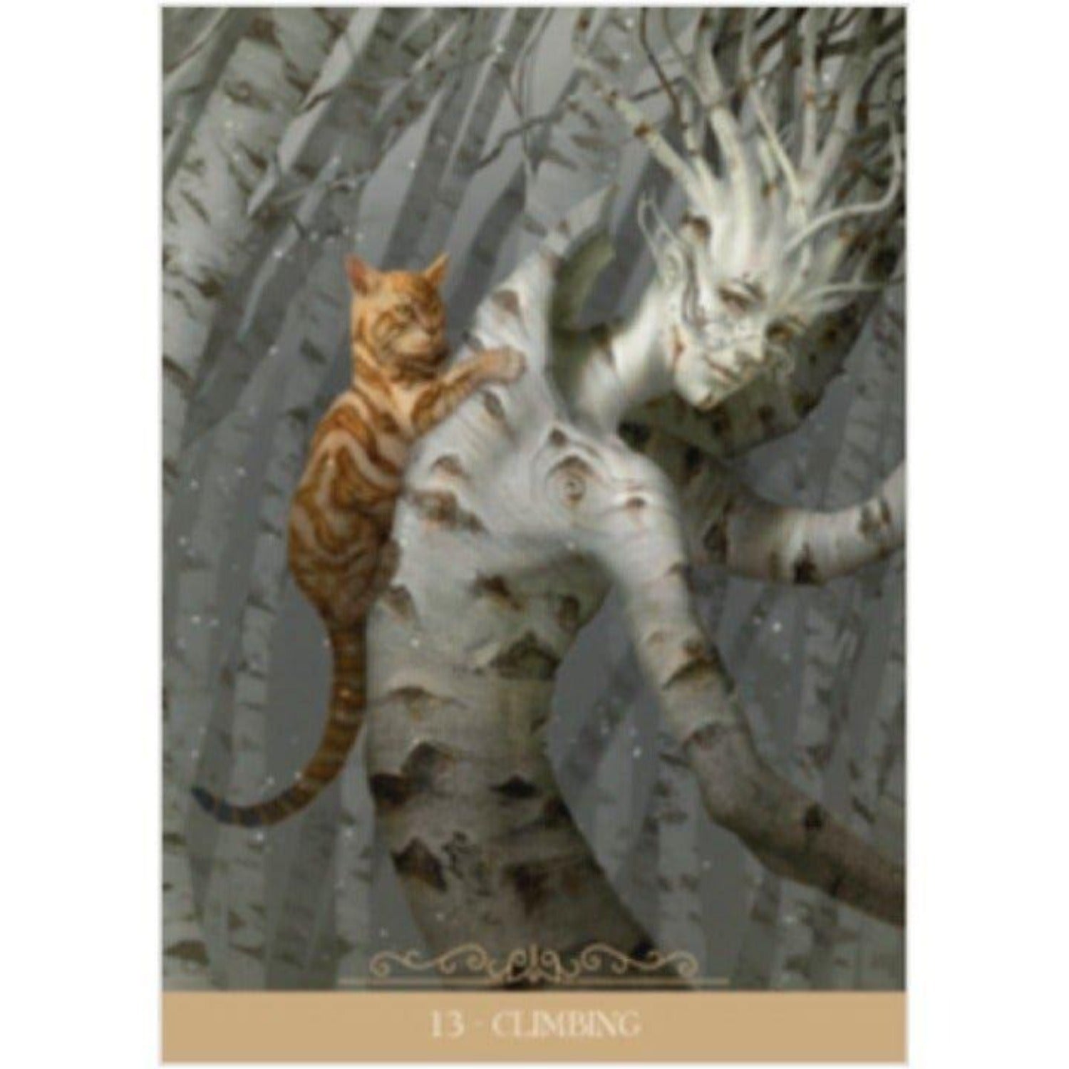 Barbieri Fantasy Cats Oracle