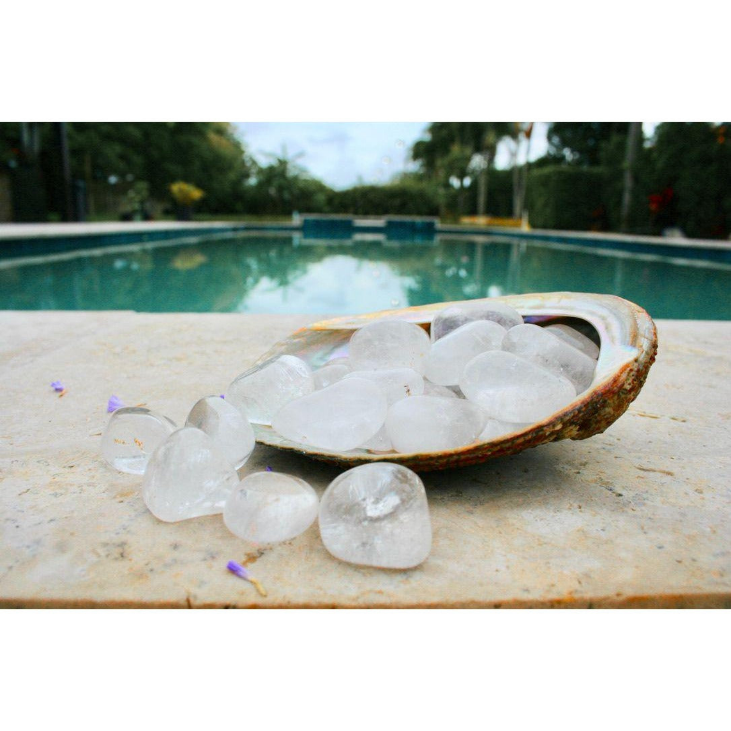 Tumbled Stones Clear Quartz