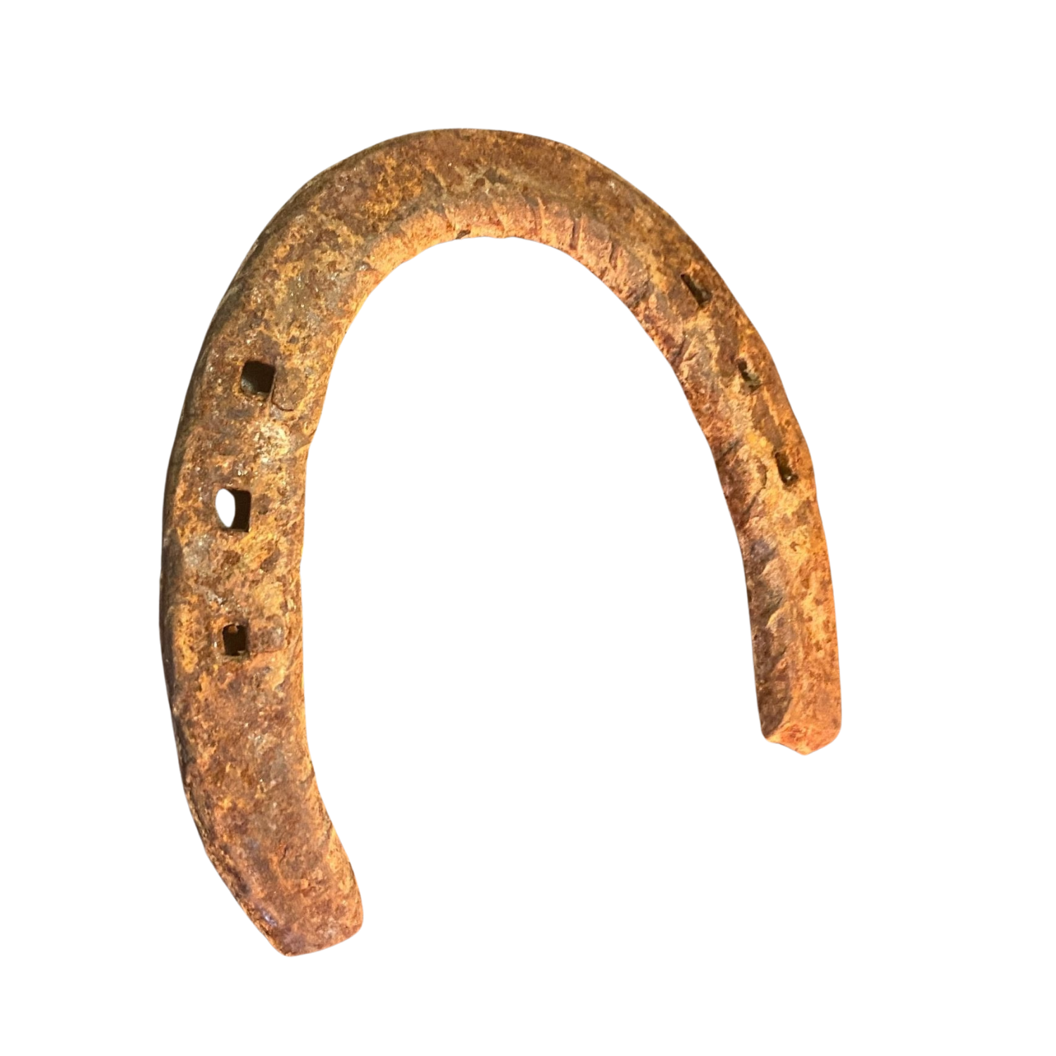 Genuine Used Horseshoe