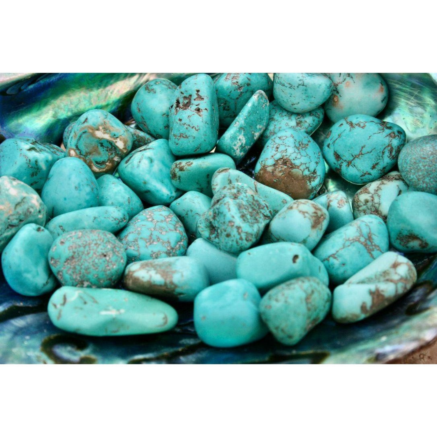 Howlite Turquoise Tumbled Stones