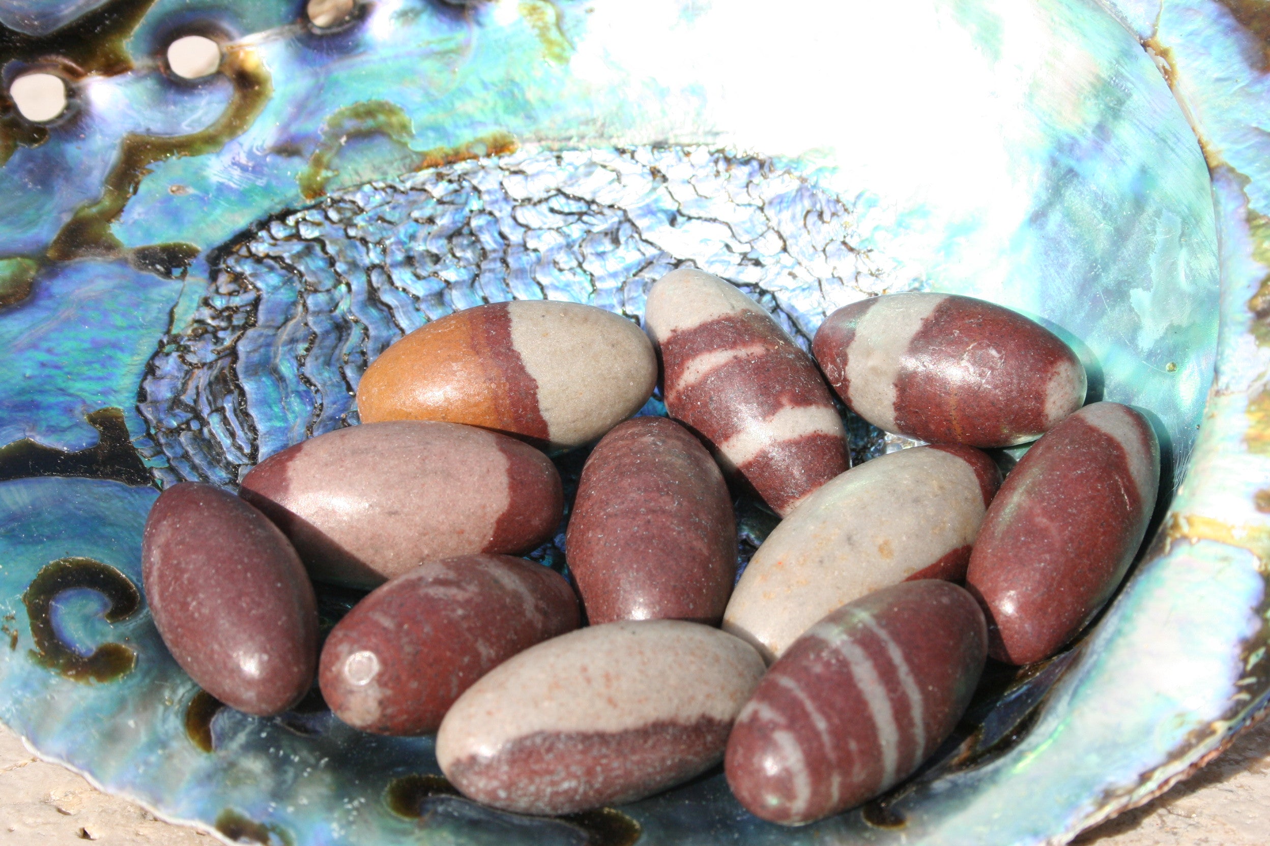 Lingums Rocks Shiva Lingam Rock Specimen - Buy Shiva Lingam Rock Specimen – New Age Guru