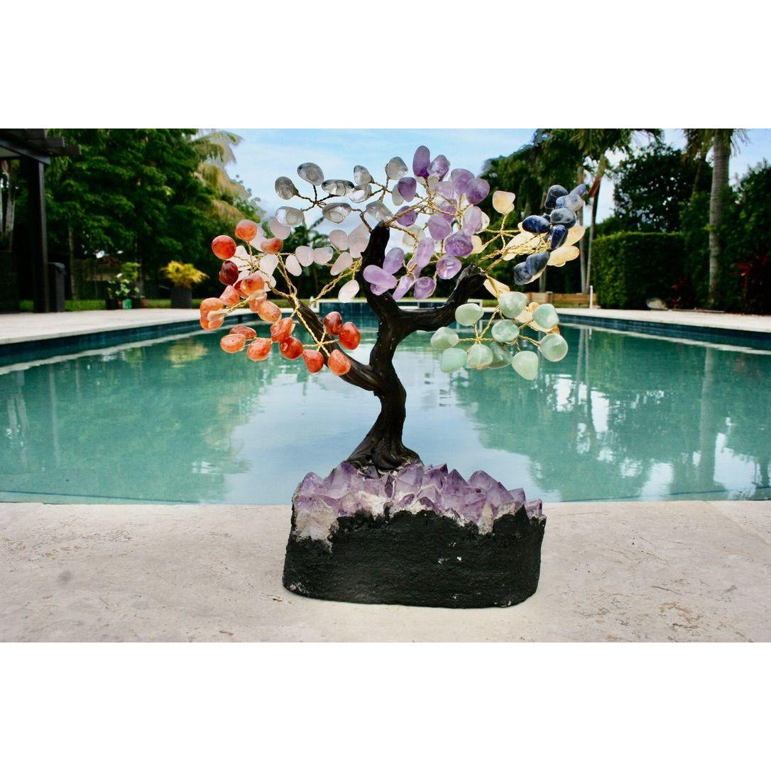 Tree Bonsai Clay Trunk XLG Size