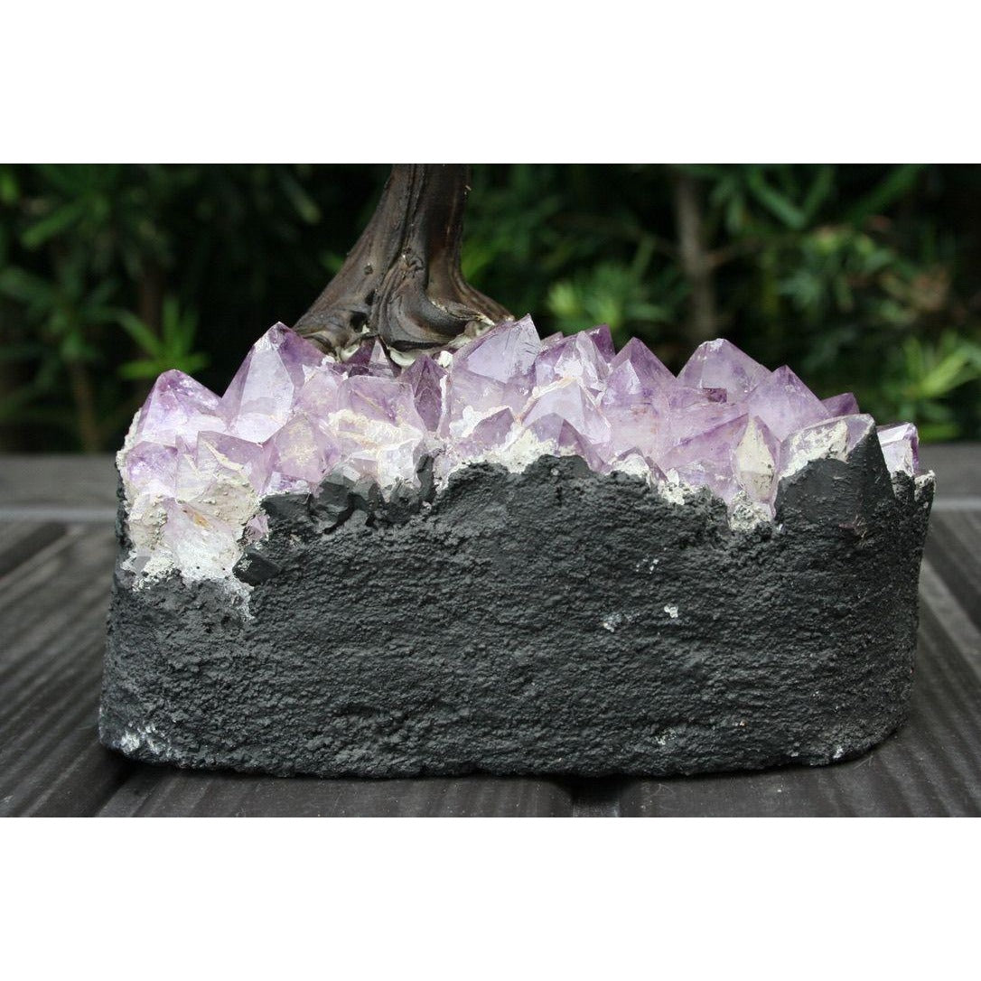 Tree Bonsai Clay Trunk XLG Size