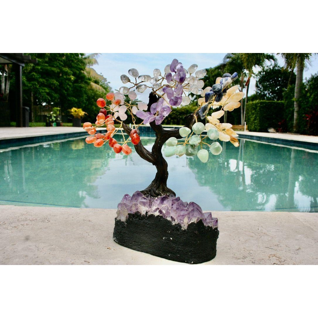 Tree Bonsai Clay Trunk XLG Size