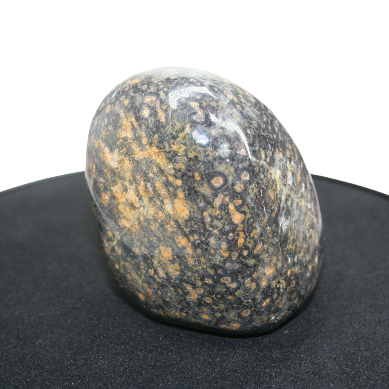 Leopard Skin Jasper Palm Stone