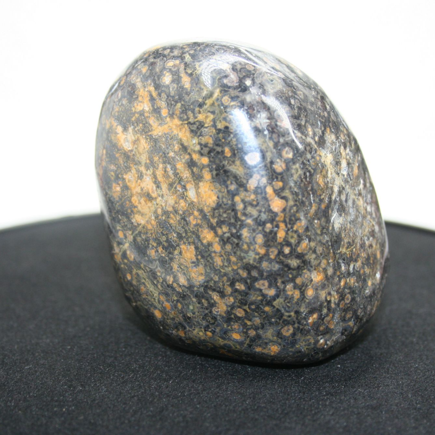 Leopard Skin Jasper Palm Stone