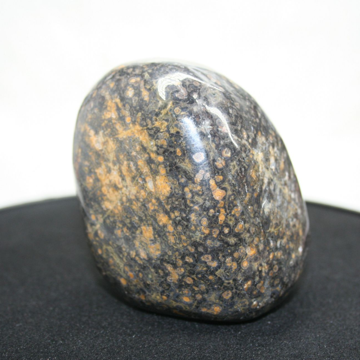 Leopard Skin Jasper Palm Stone