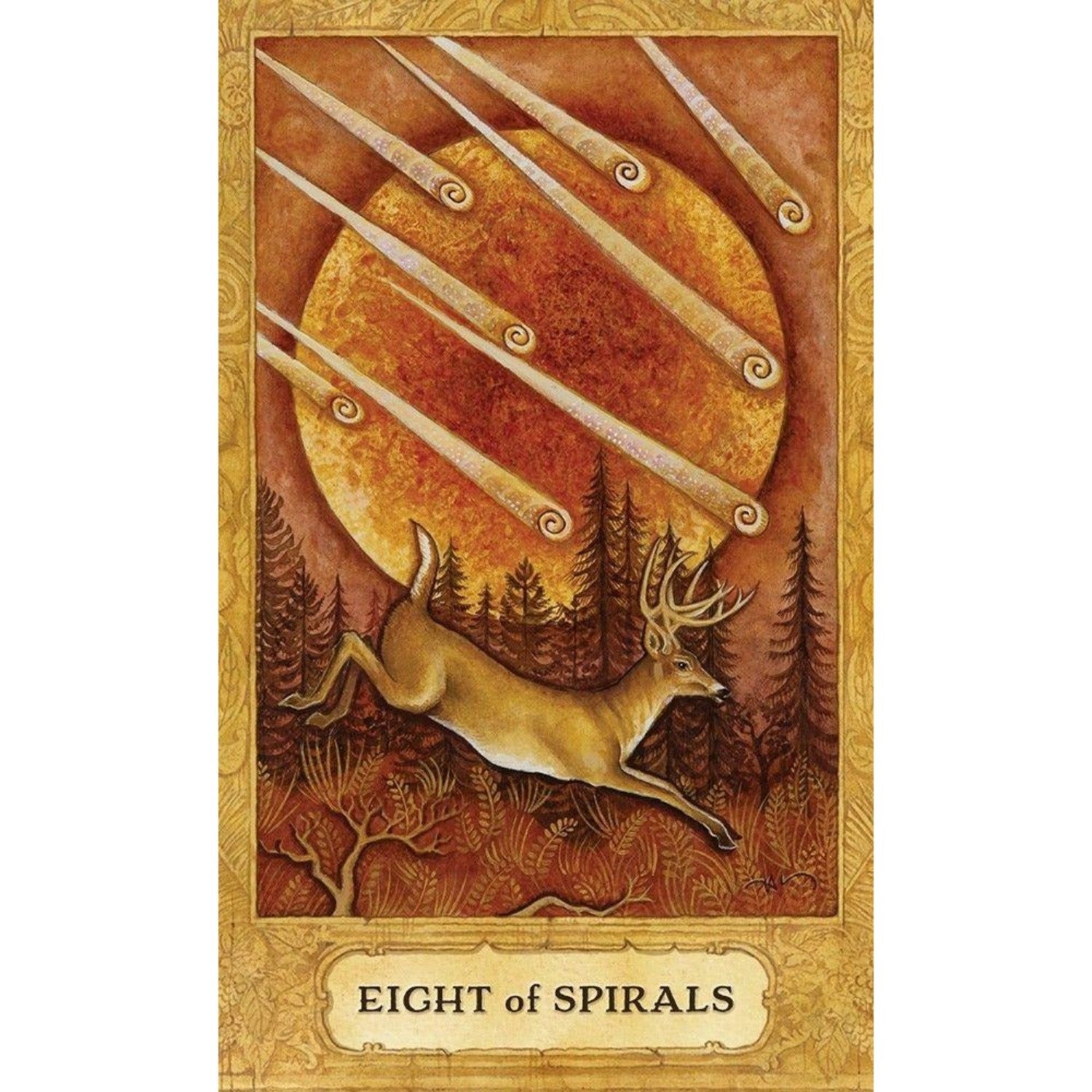 Chrysalis Tarot Deck and Book Set