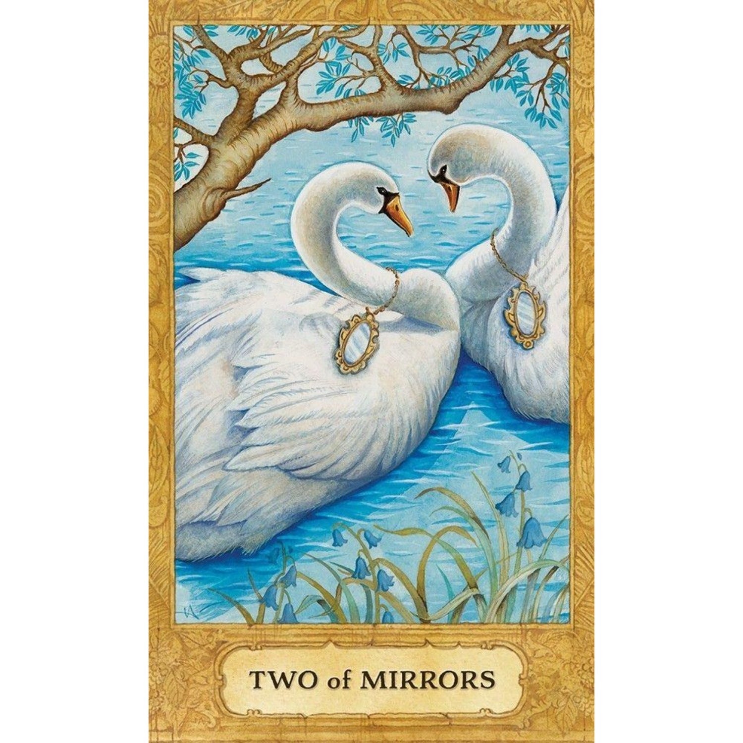 Chrysalis Tarot Deck and Book Set