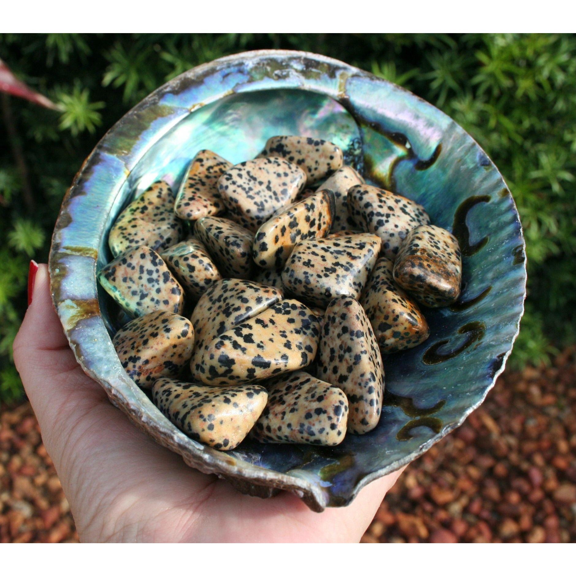 Dalmatian Jasper Tumbled Stone