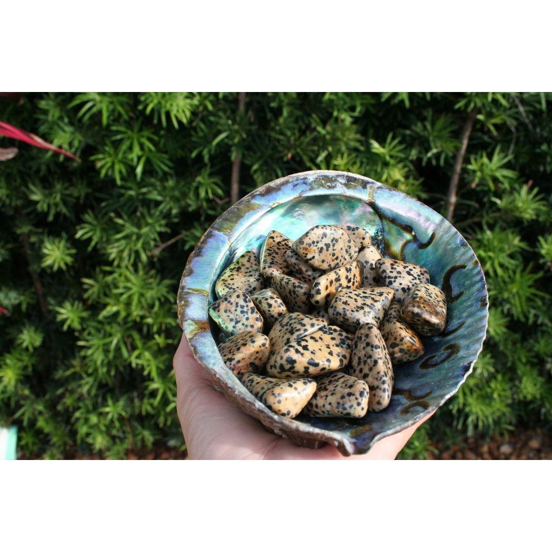 Dalmatian Jasper Tumbled Stone