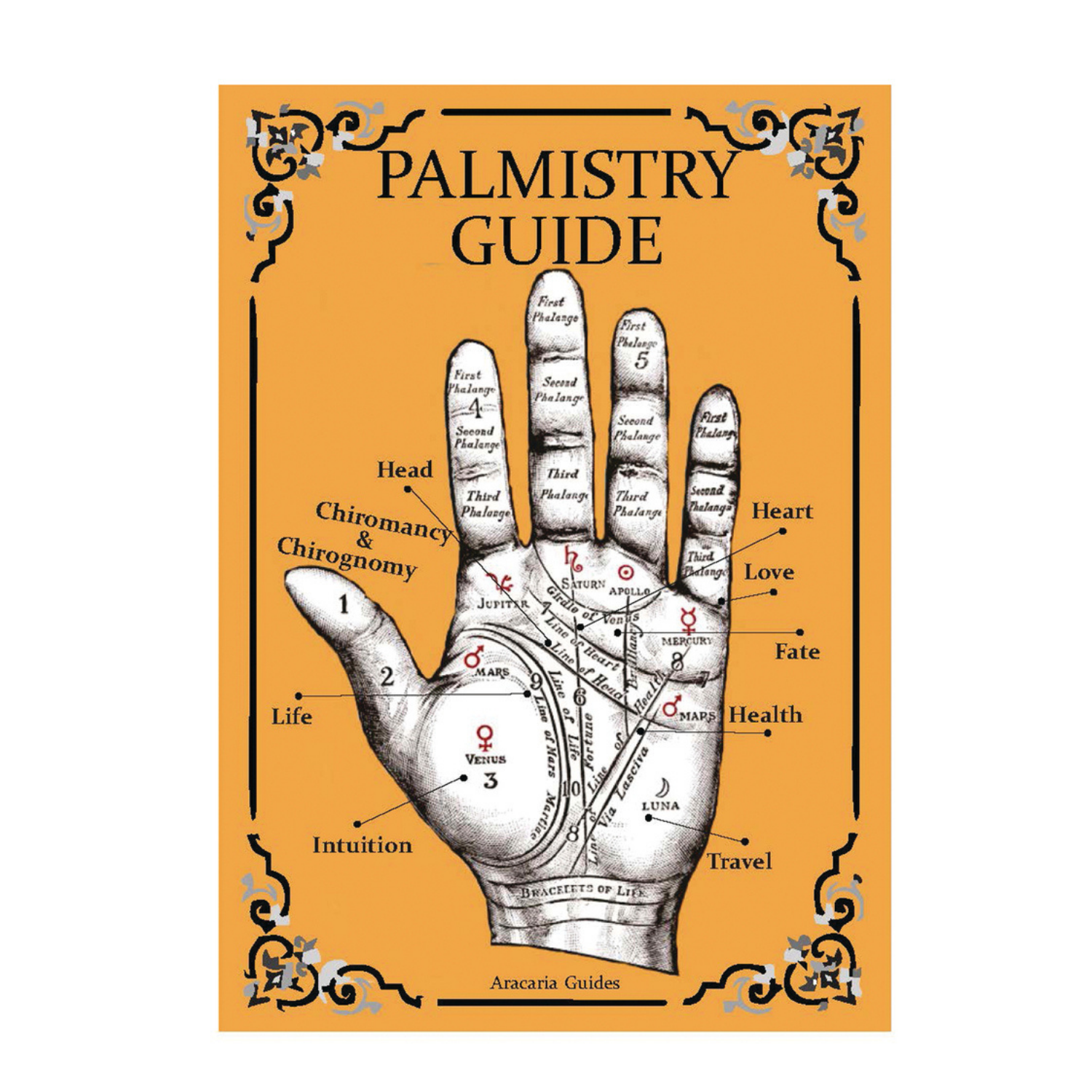 Palmistry Guide