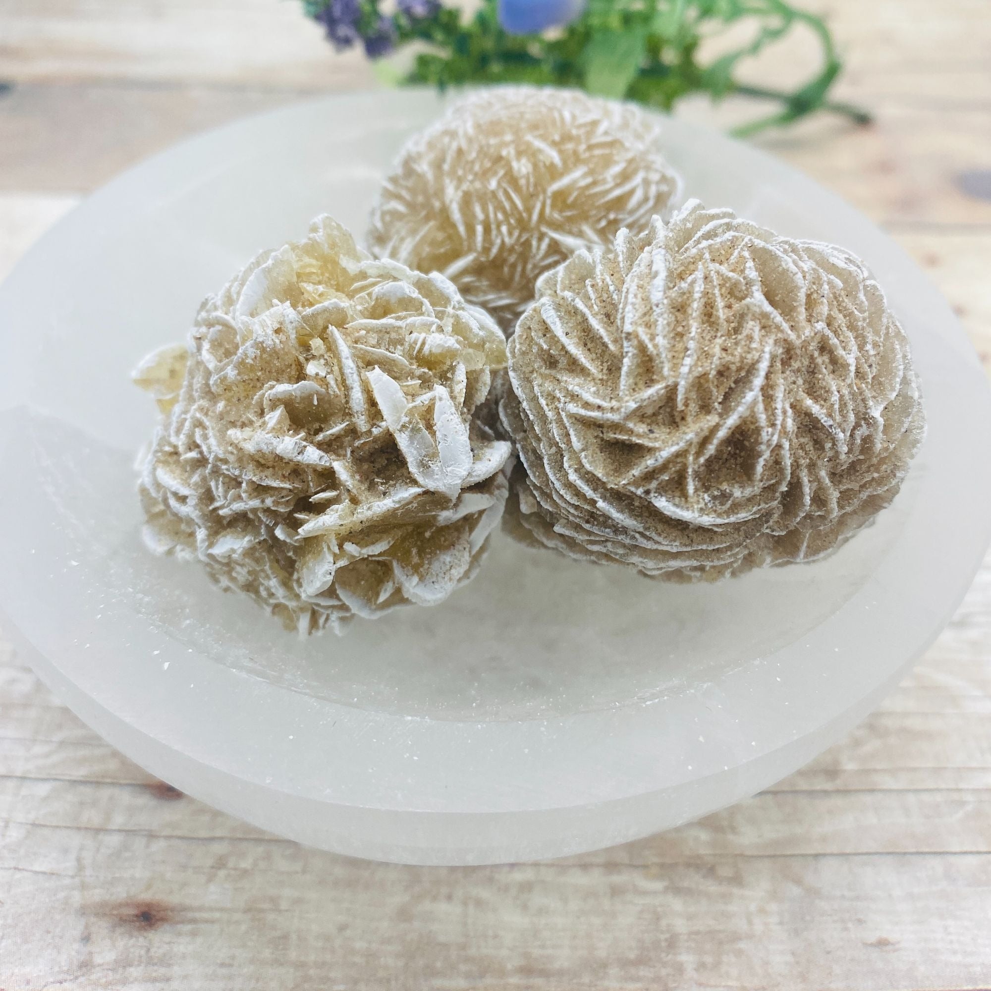 Raw Selenite Desert