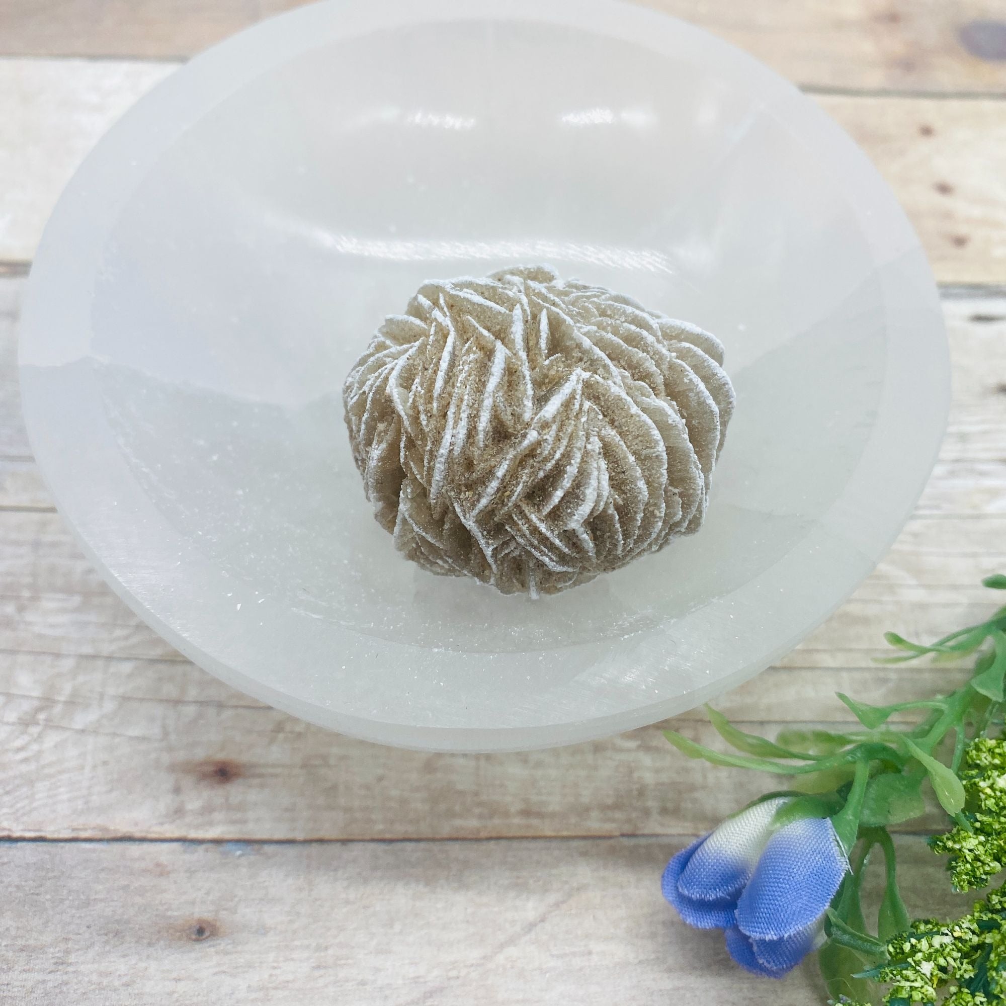 Raw Selenite Desert