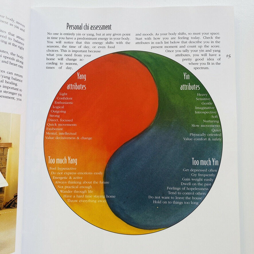 Feng Shui Chic Stylish Designs for Harmonious Living Stasney Sharon