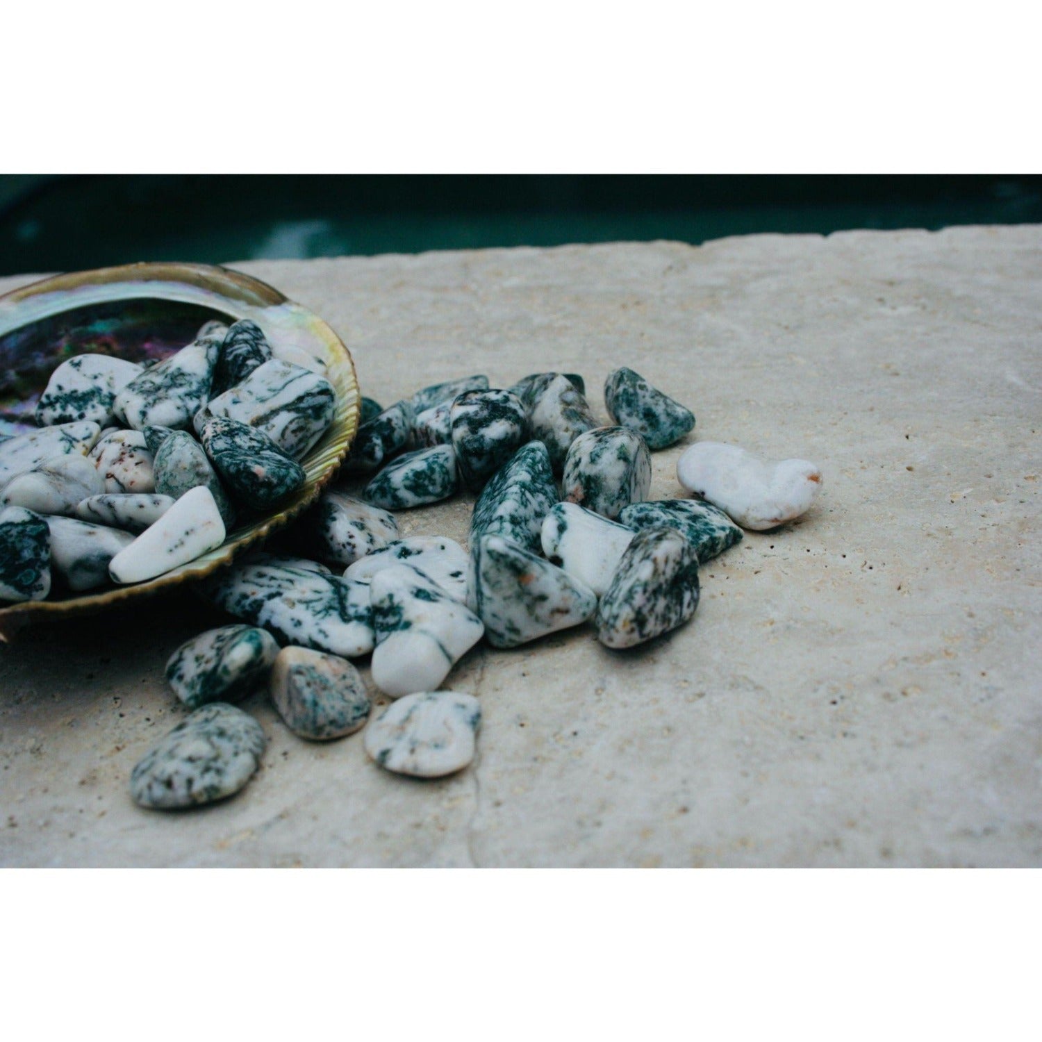 Tree Agate Tumbled Stones 4 OZ