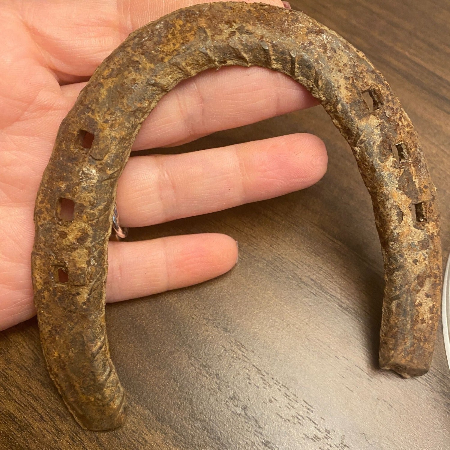 Genuine Used Horseshoe