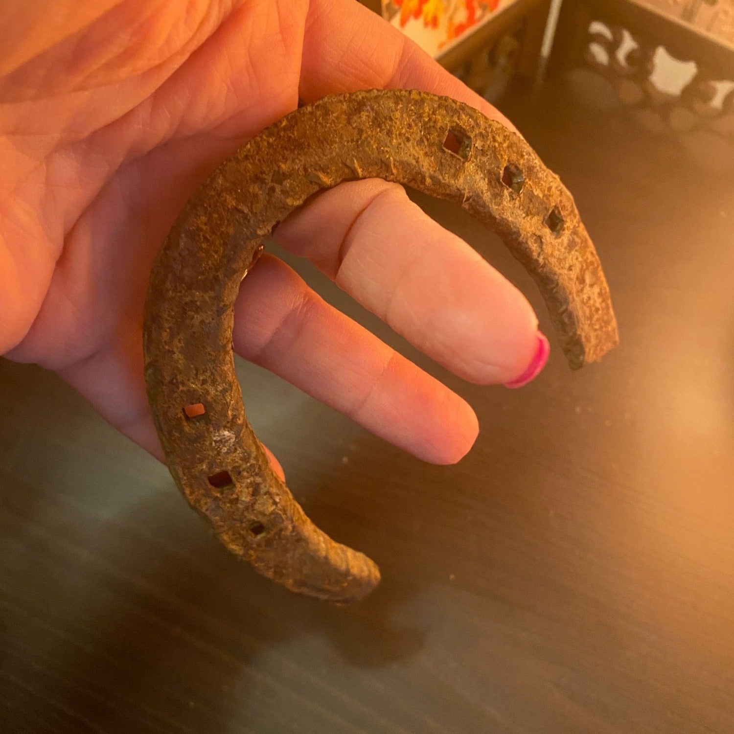 Genuine Used Horseshoe