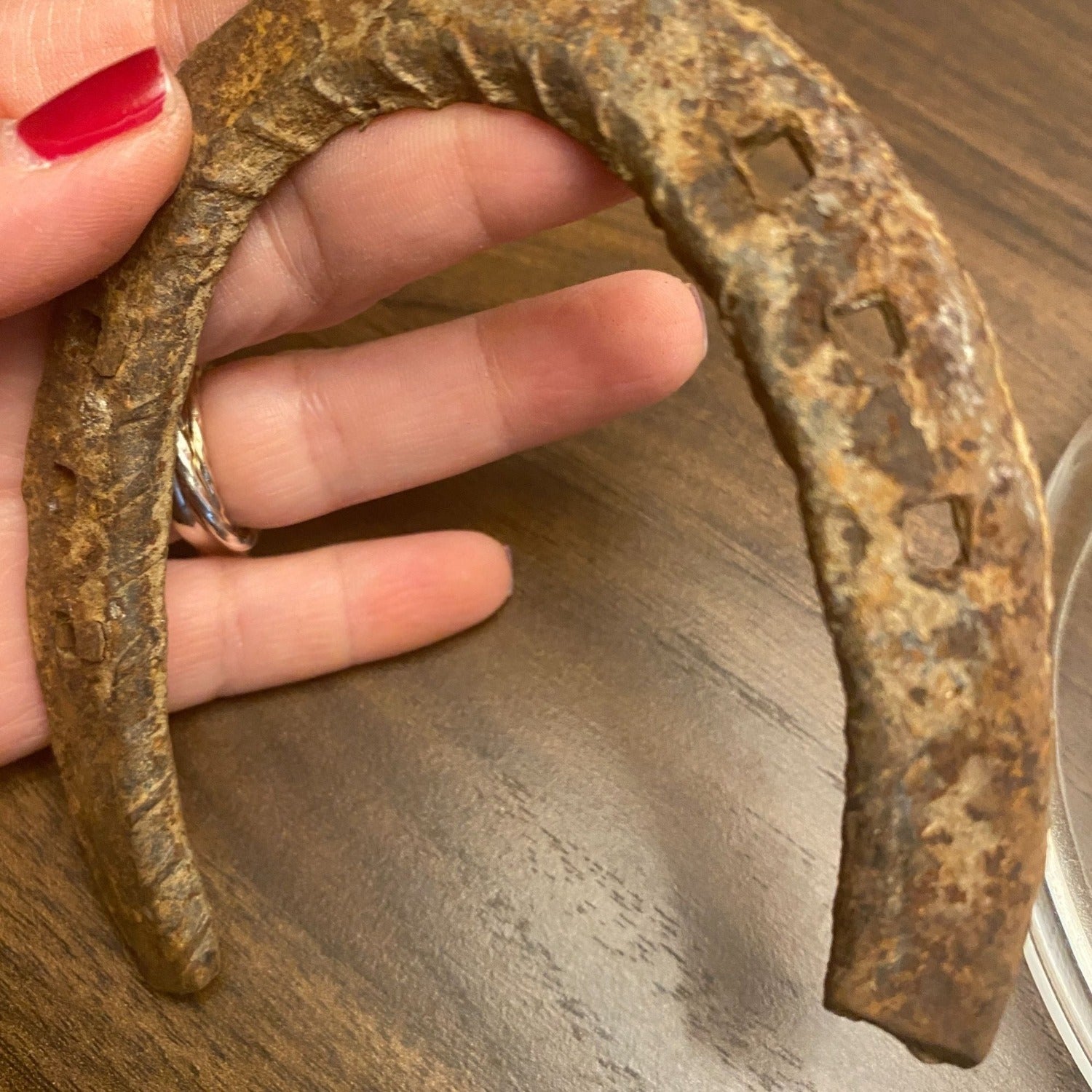 Genuine Used Horseshoe