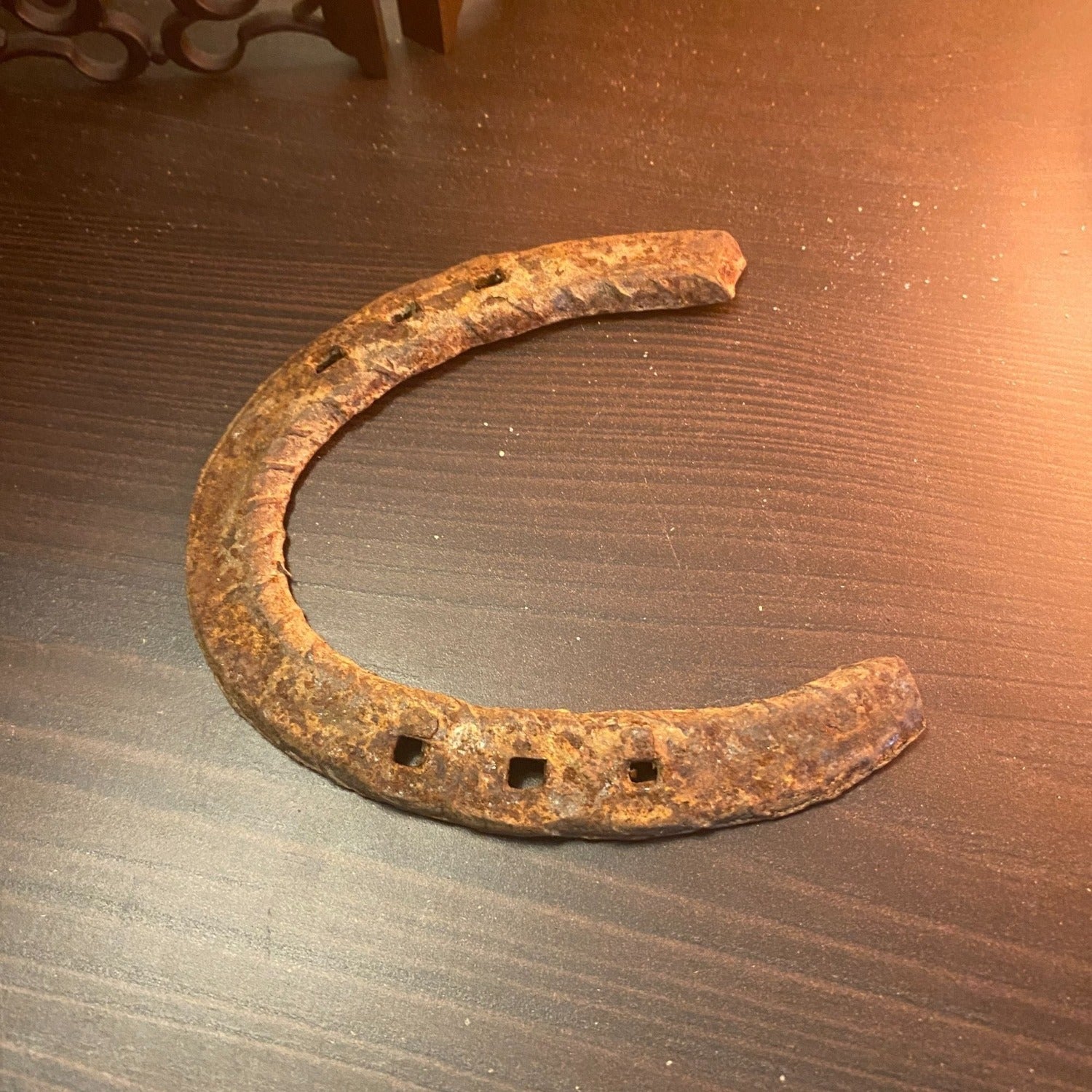 Genuine Used Horseshoe