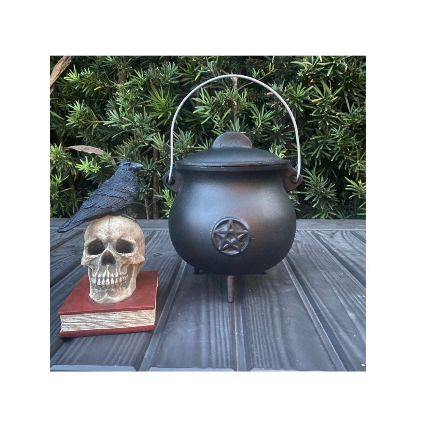 Cast Iron Cauldron Large 8.5 in Pentacle