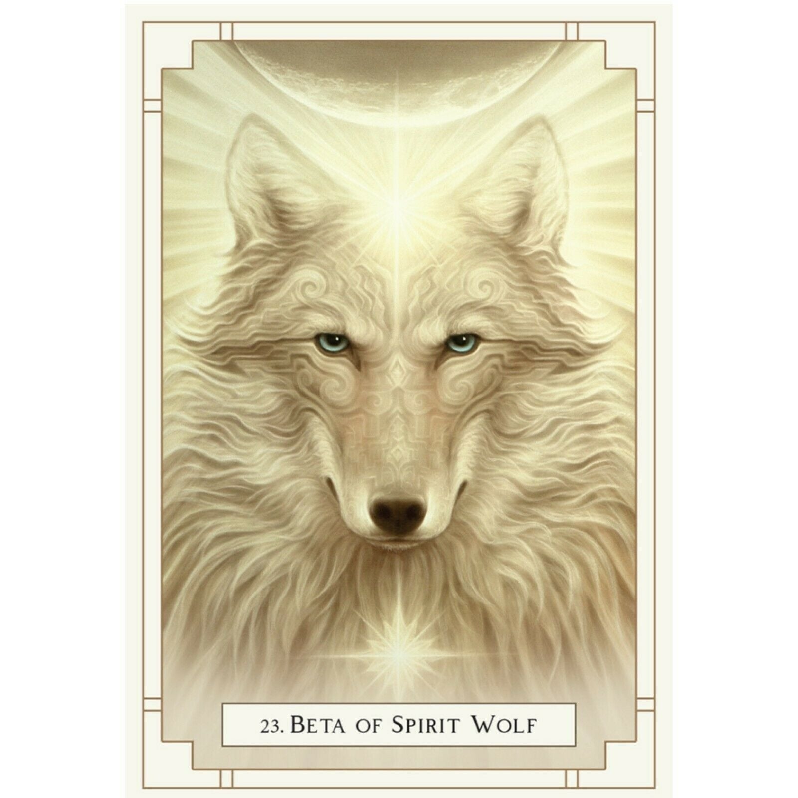 White Light Oracle